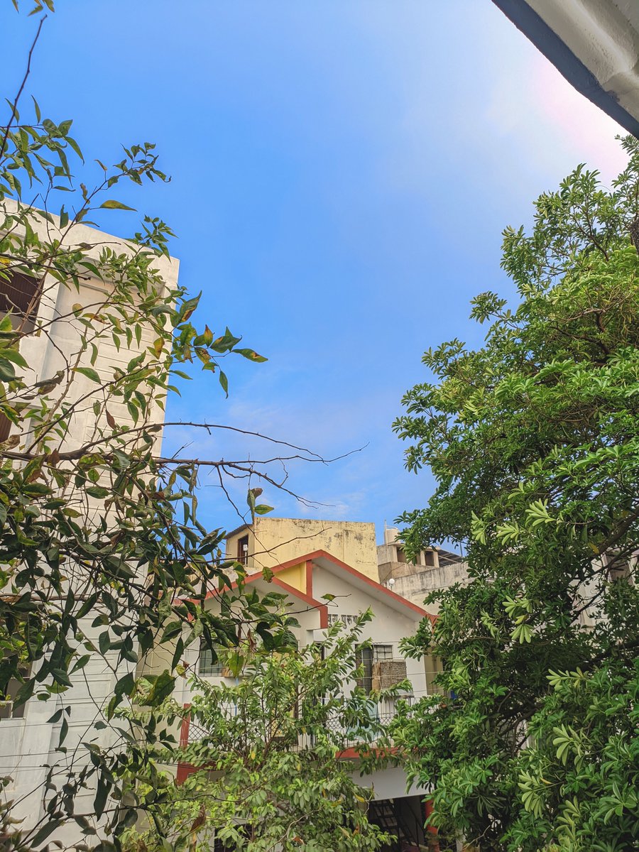 Shikamaru ☕ tweet media