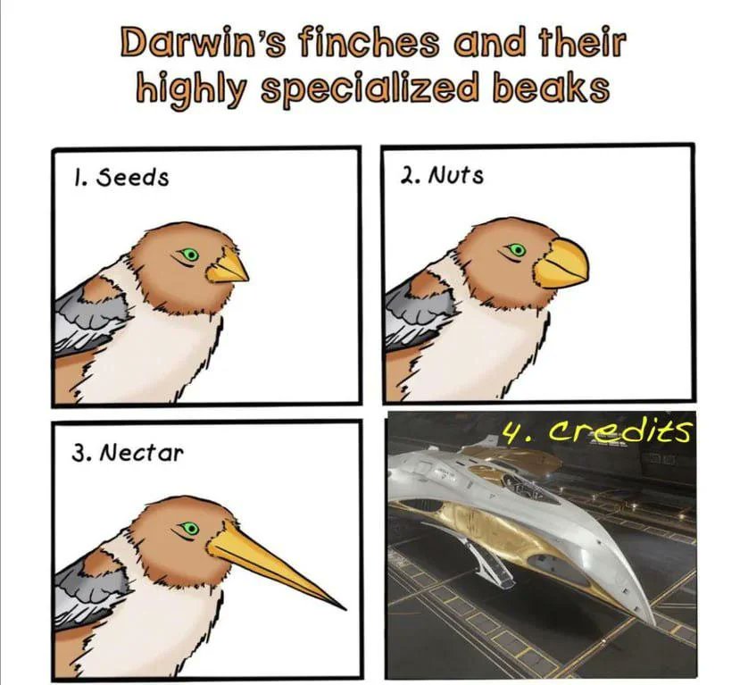 LakonAerospace's tweet image. Imagine needing a specialised beak just to eat. 

​In an ASP Explorer, your "beak" is a Class 5 Internal Sensor and a view that spans 180°. Whether it's scanning exobiology or mining opals, we don't do "niche"—we do everything.
​#EliteDangerous #LakonSpaceways #AspExplorer