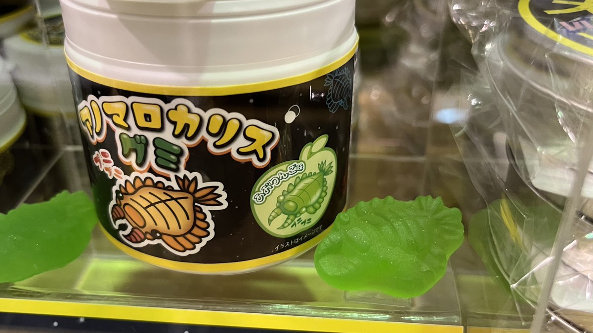 おいでよ名古屋@おいなご tweet media