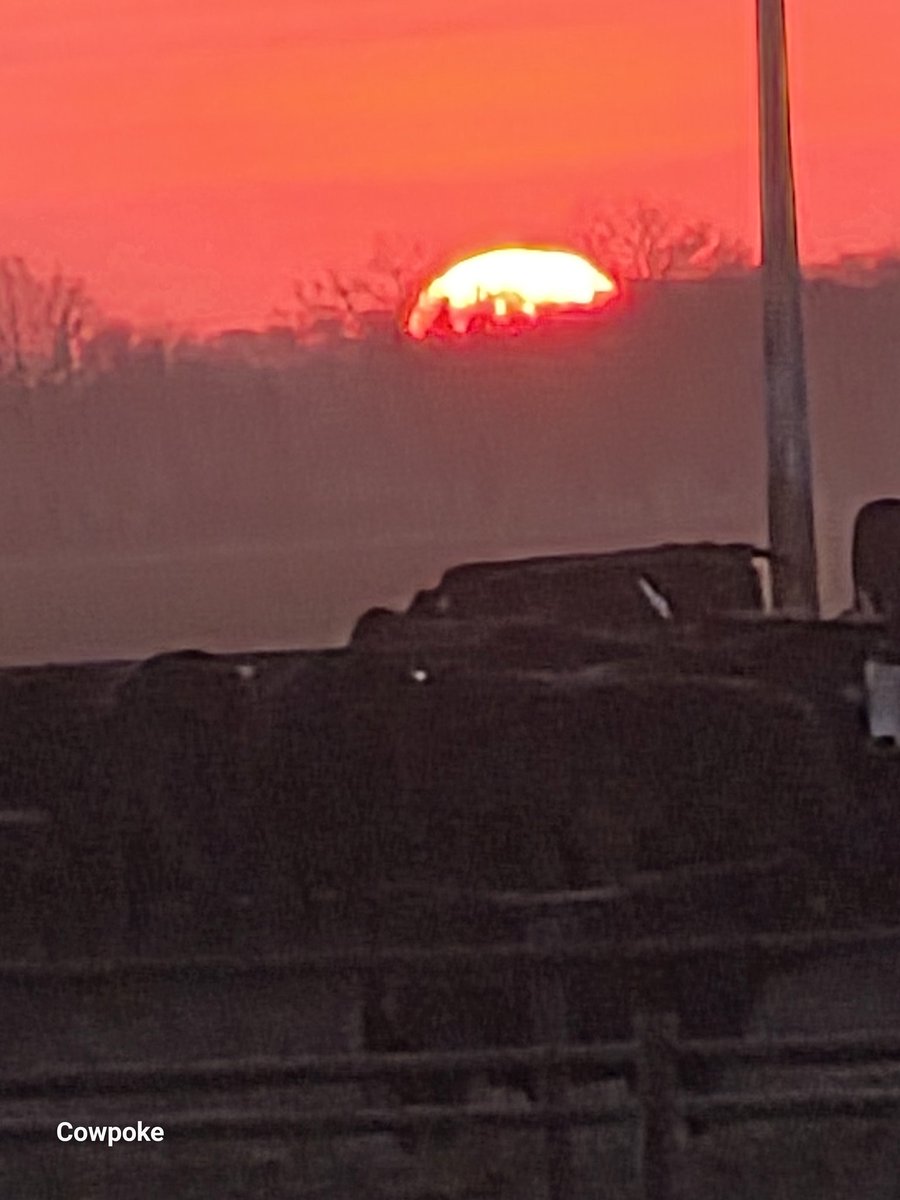 Failure is not an option, rise everyday and shine on the ones that conditions allow you too, but always rise and never weaken