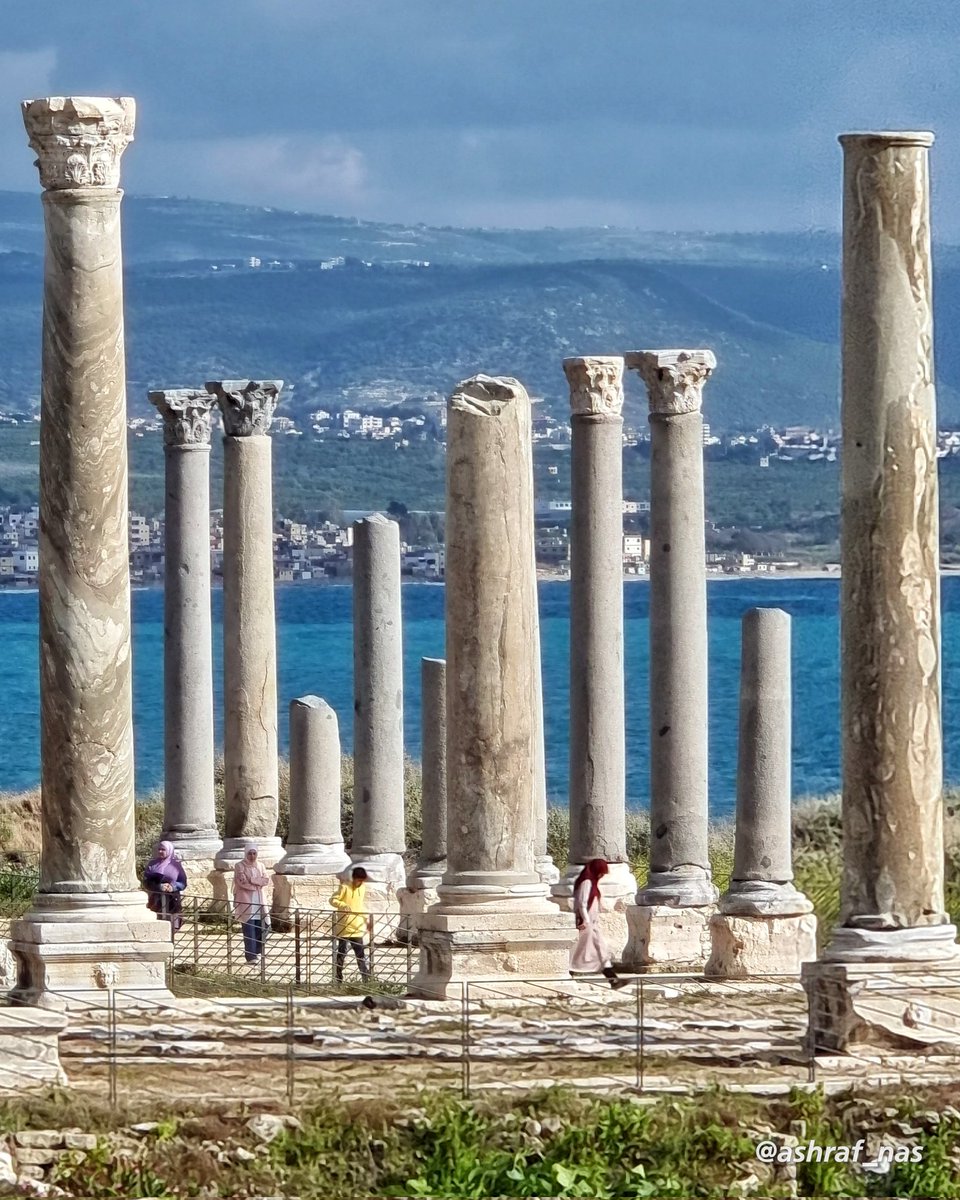 Ashraf Nasrallah tweet media