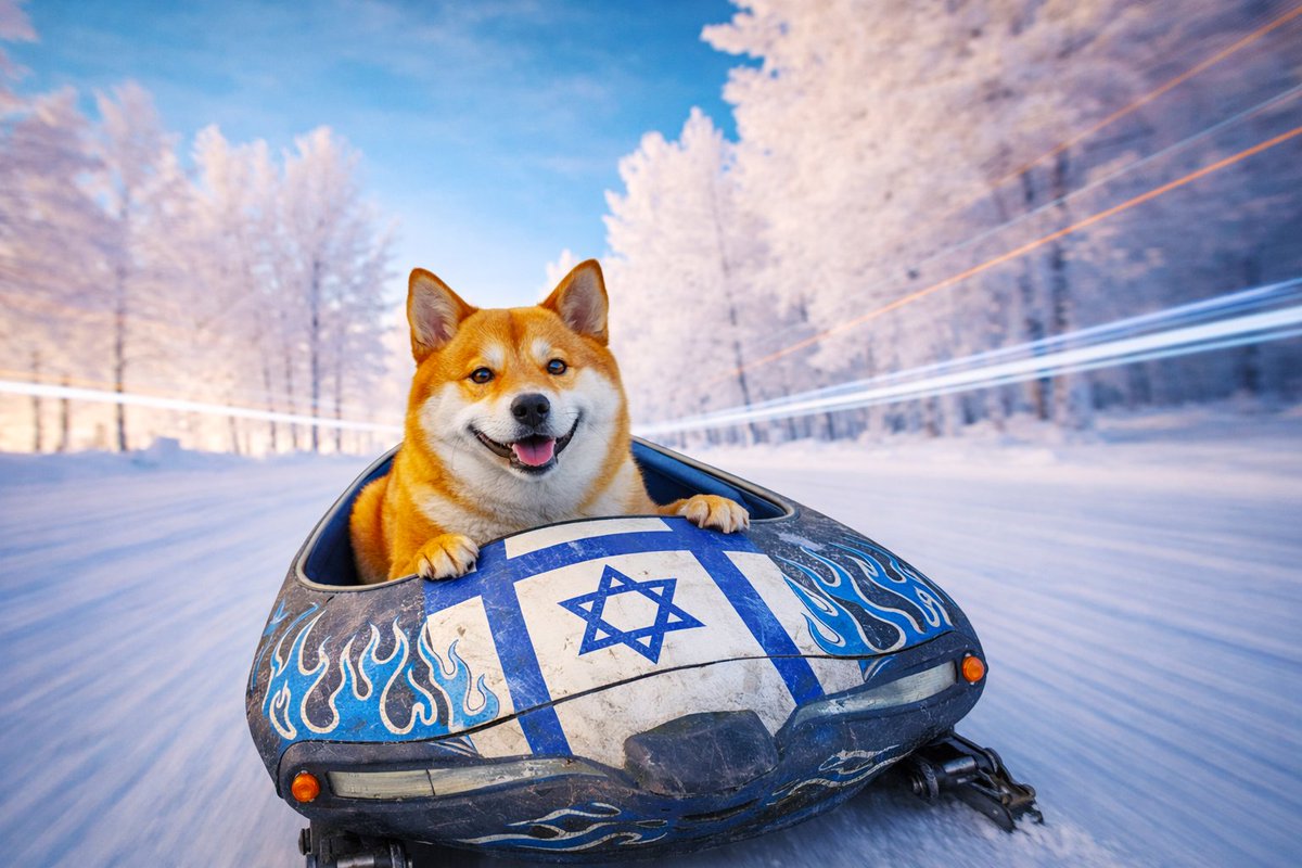 Alan Portnoy tweet media