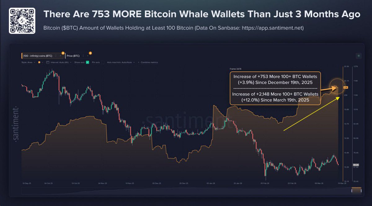 partner_trader's tweet photo. 🐋 Киты продолжают накапливать BTC несмотря на падение рынка. 

#crypto #bitcoin #btc #eth #trade #trader #trading #cryptotrading #RamazanBayramı #provadolíder #Bayramlaşma https://t.co/ZzmOEBsiLl