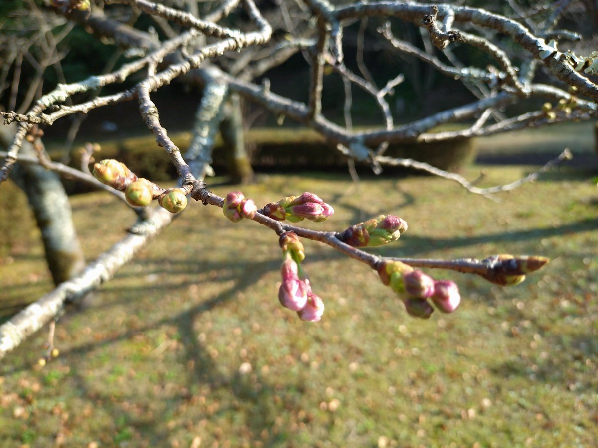 ユスギ tweet media