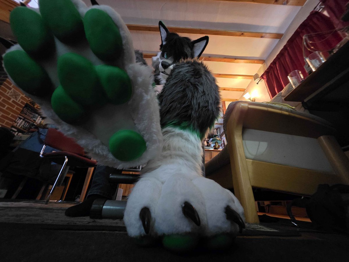 Corasik 🔜Confuzzled26 tweet media