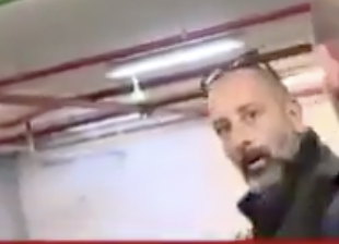 כנרת בראשי kinneret barashi tweet media