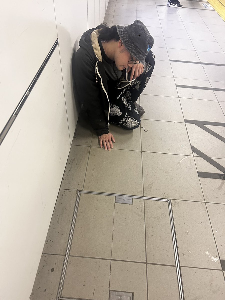 緒方あこ(仮) tweet media