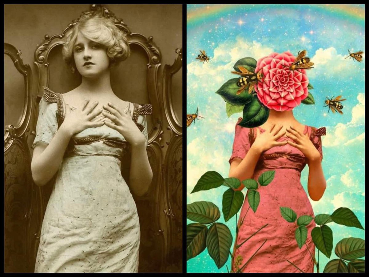 Jolene Casko tweet media