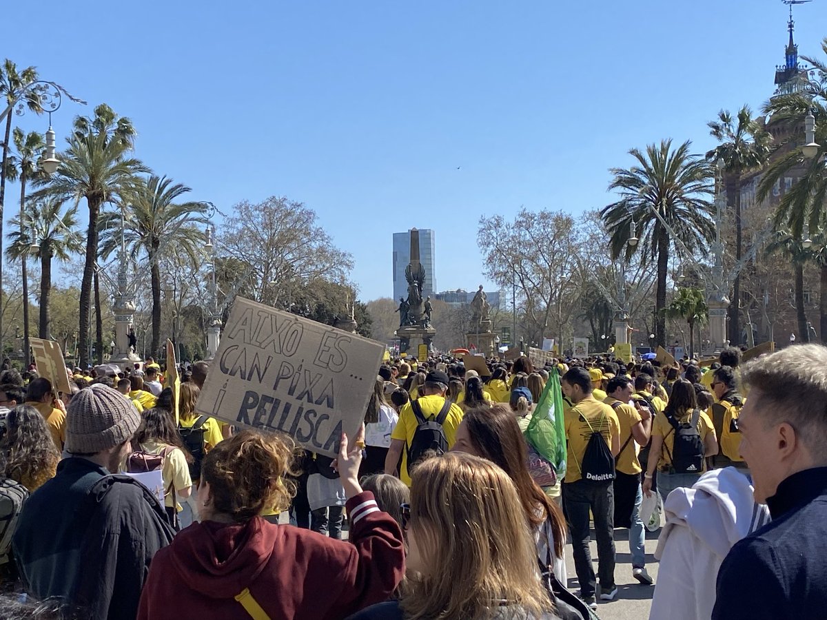 Jordi Saez tweet media