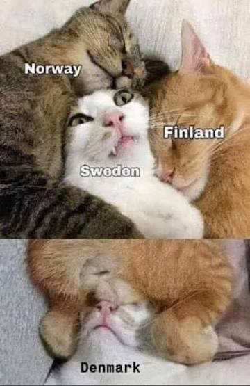 Patrik W. tweet media