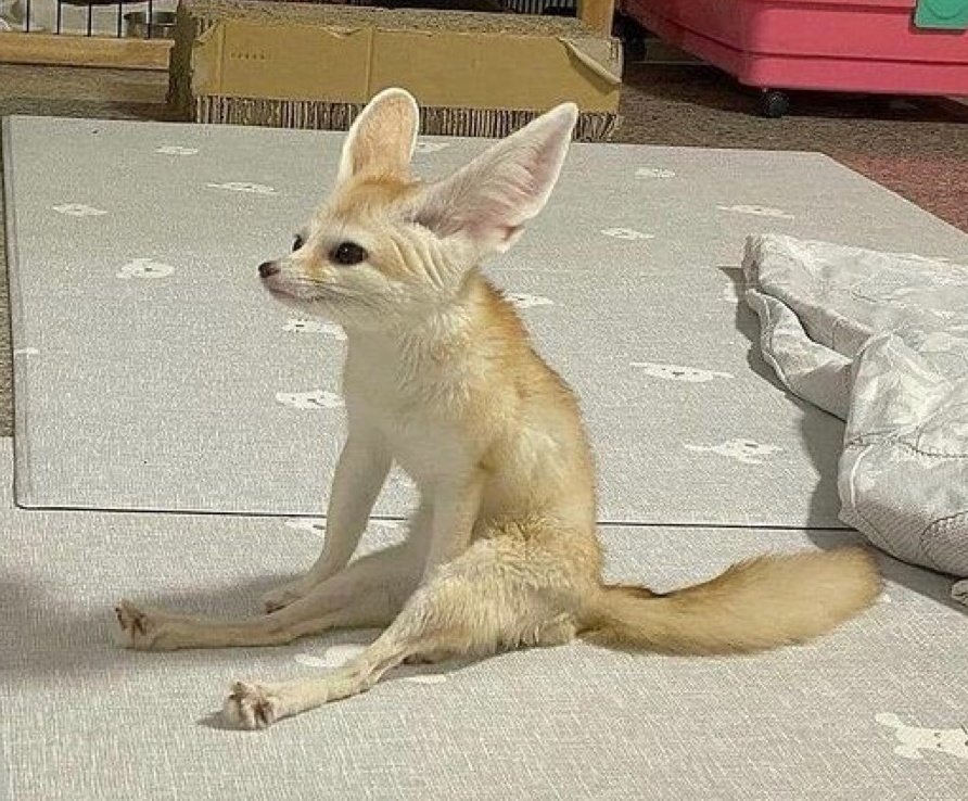 ₣ŘØŦΔ tweet media