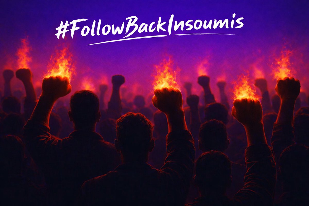 La ripϕste FI 🐢🐺🔻 tweet media