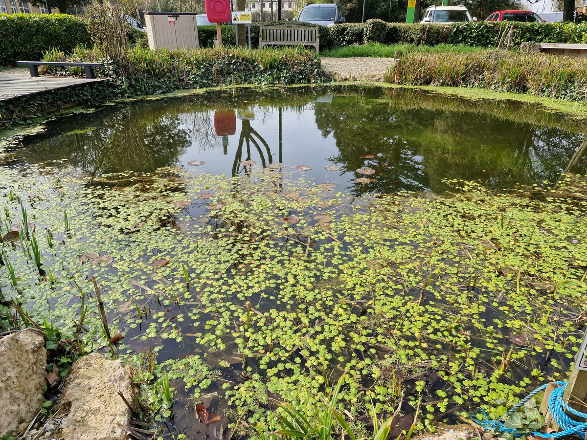 L20 Bootle Bee ๐ต๐๏ธโฝโ๏ธ tweet media