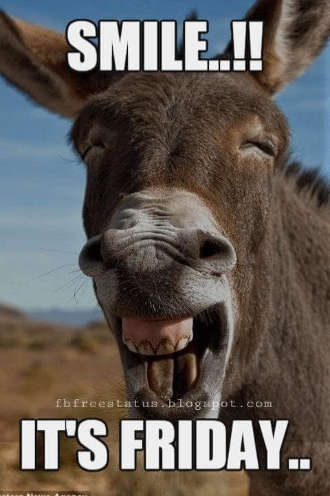 Donkey's Place tweet media