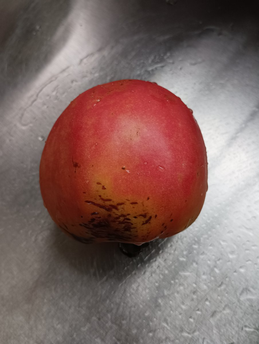 John Williams tweet media