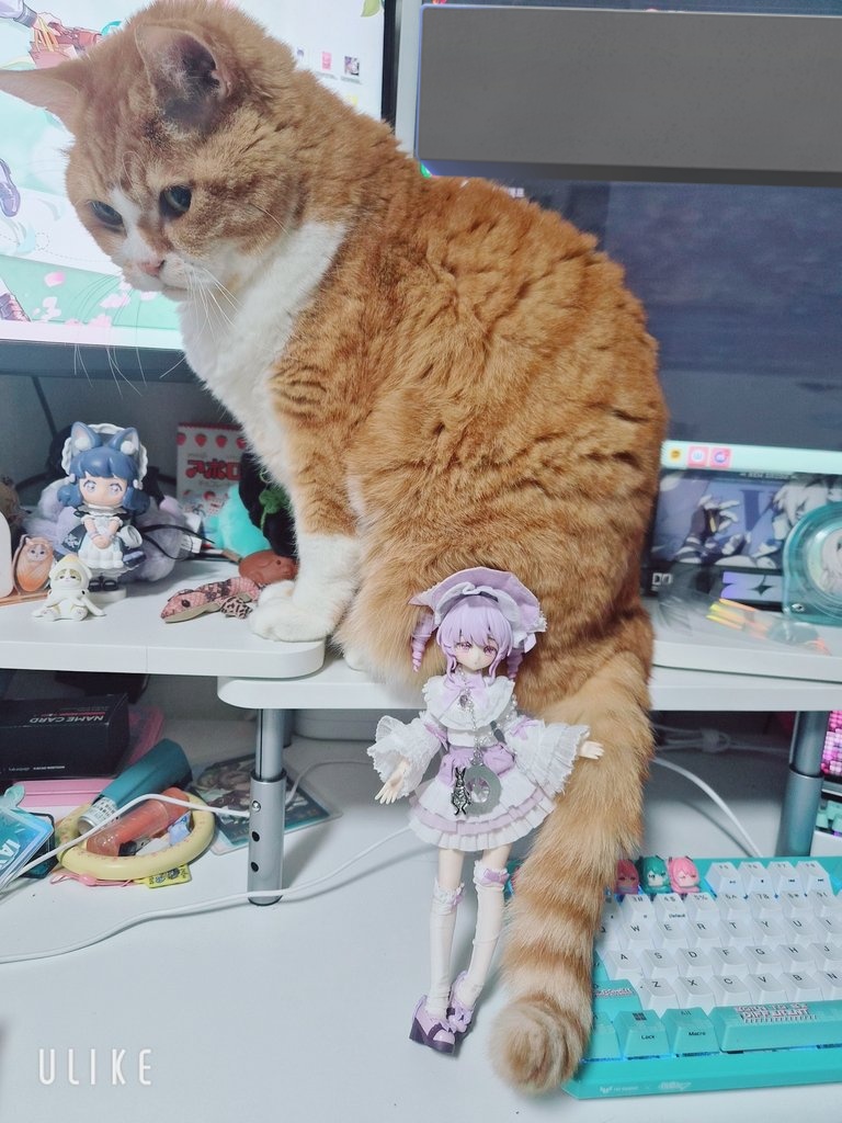 사랑해 뽀뽀또또 tweet media