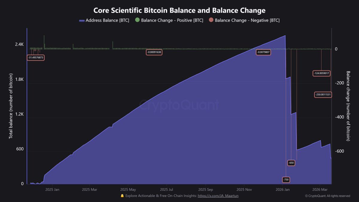 Le Bon 🦊 tweet media