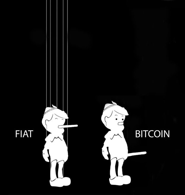 Cryptowizard ₿⚡ tweet media