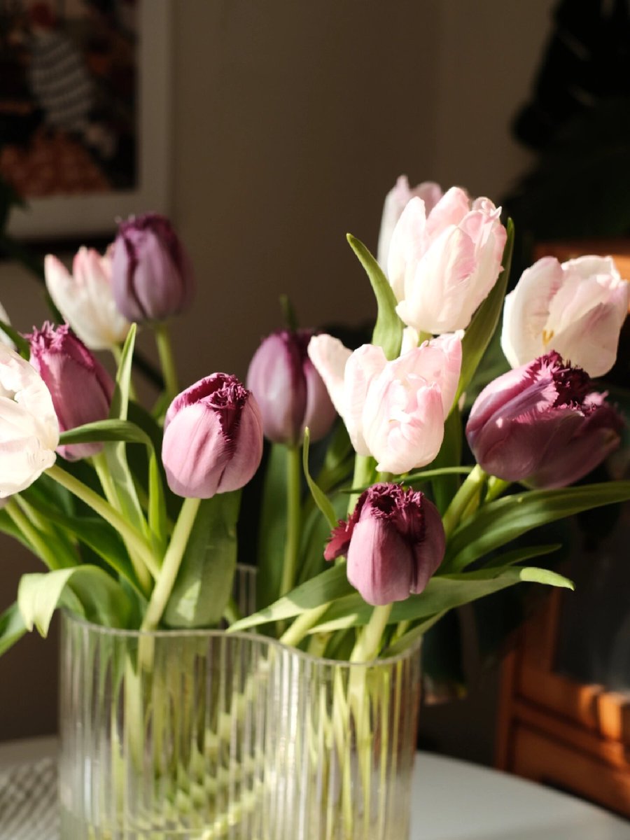 Cardio Shopper tweet media