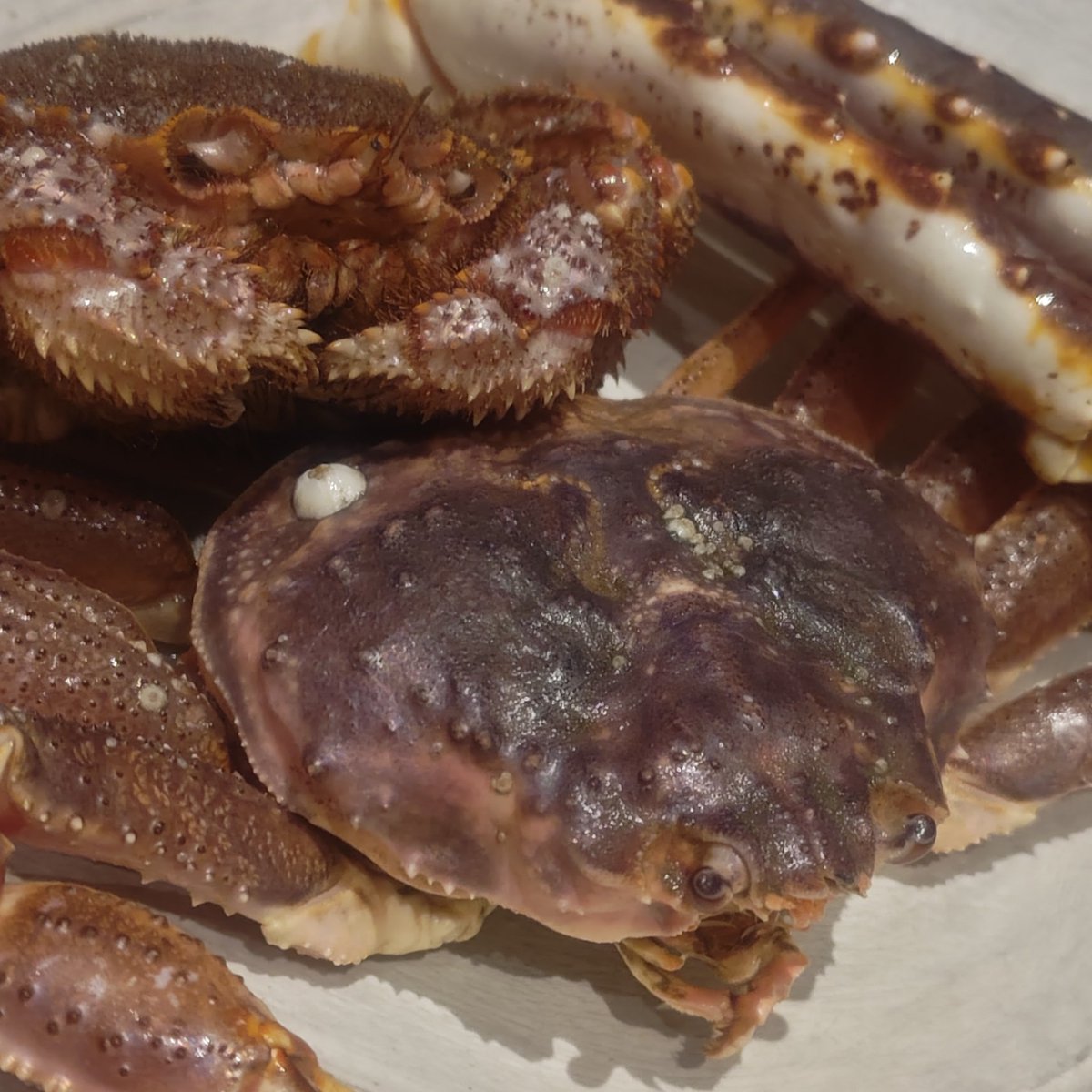 popbox 💉×5 tweet media