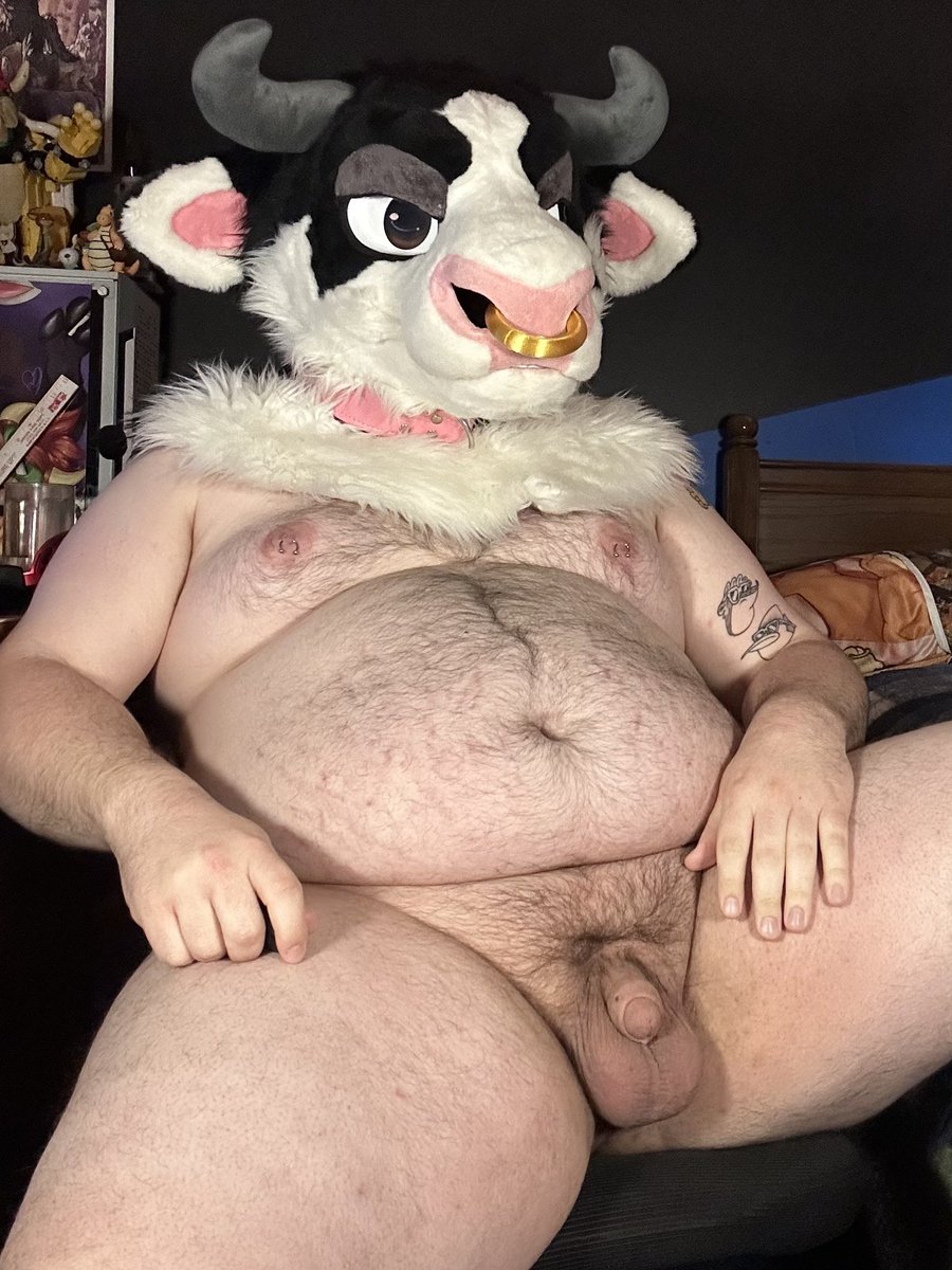 Wagyu Gay Moo tweet media