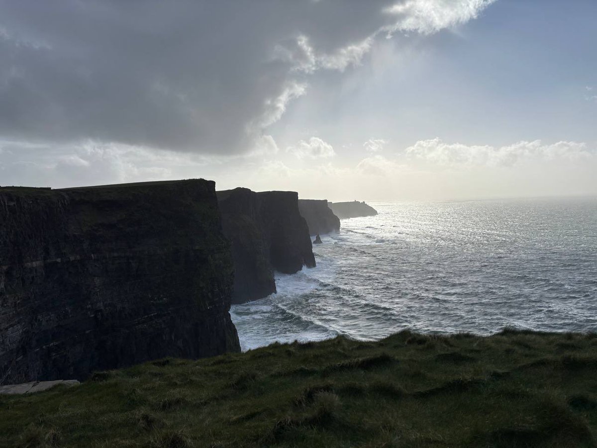 Hydra Is Online tweet media