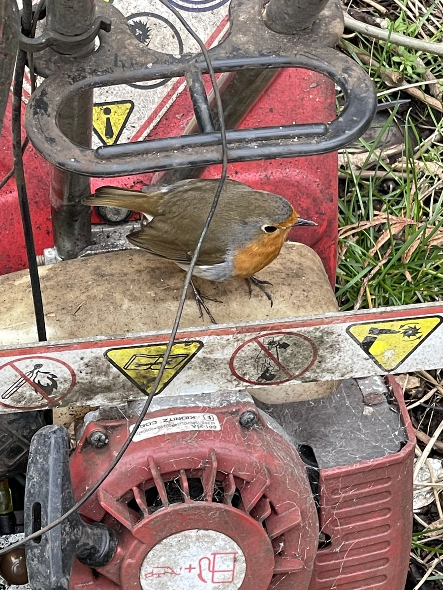 Tim Slater tweet media