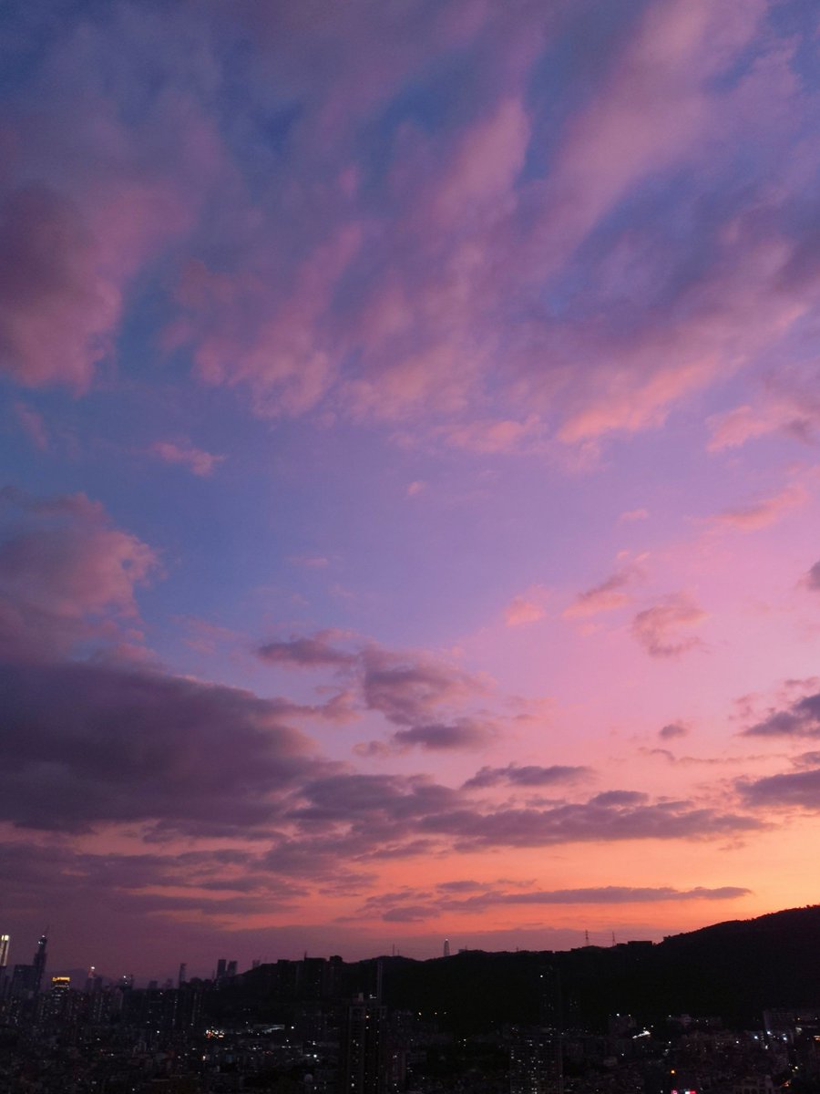 lExperto tweet media