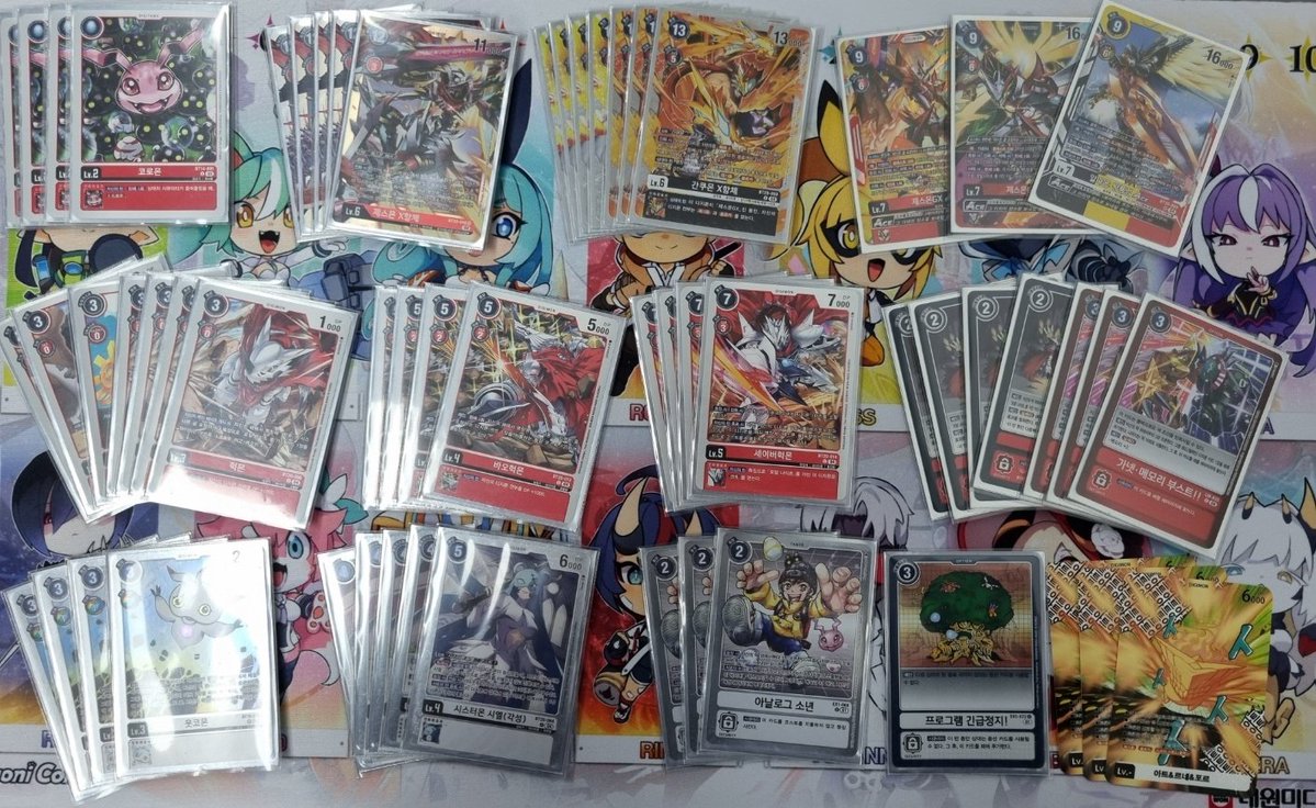 카드빈 tweet media