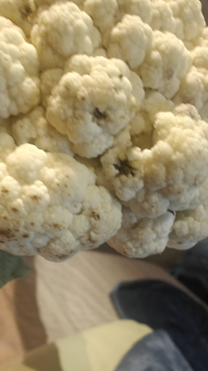 Jayanta1210's tweet photo. @letsblinkit insect filled cauliflower delivered and now told will share feedback with no refund https://t.co/3hQmWMZo3F