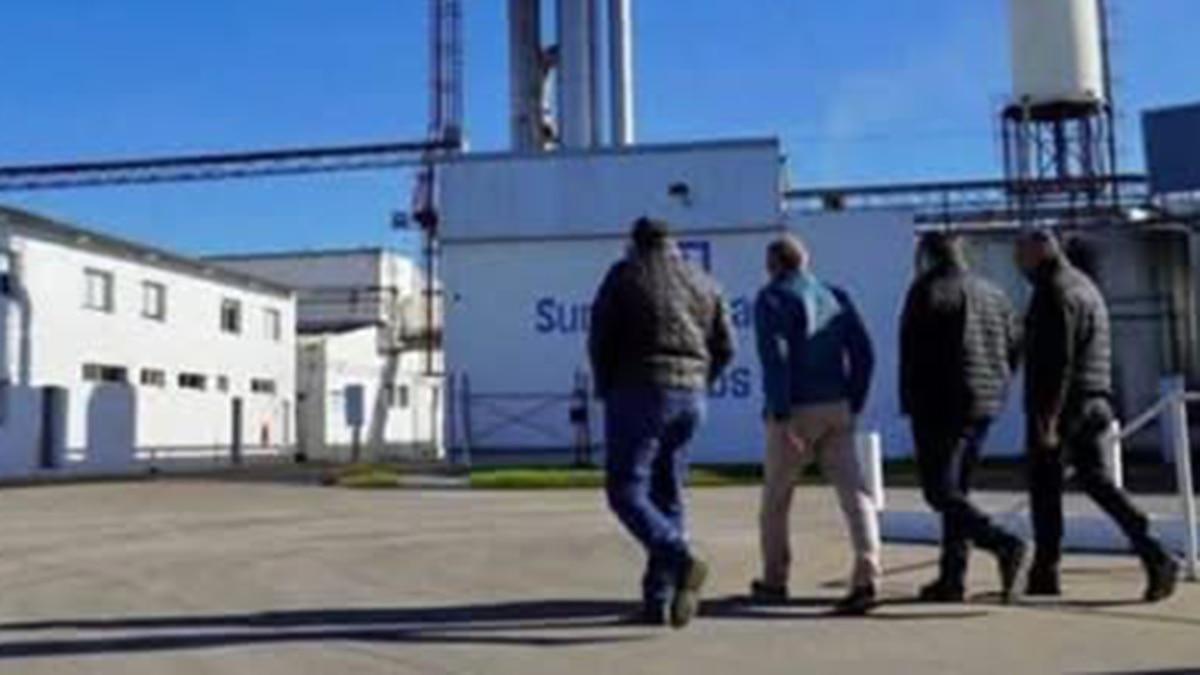 LA NACION tweet media