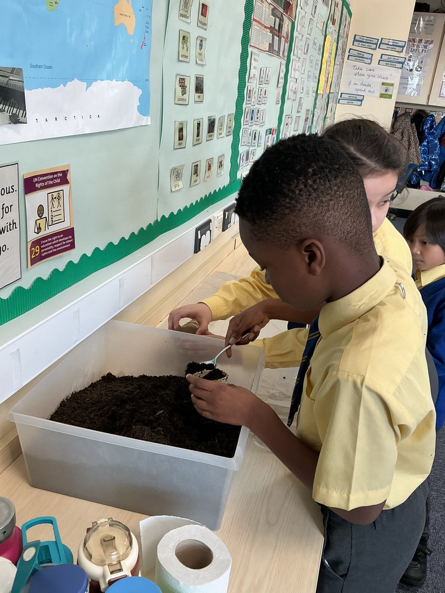 StMaryB17's tweet photo. We are celebrating Down Syndrome Awareness day with wearing odd socks, planting sunflowers and learning about Down Syndrome. #DSAD #LotsofSocks #Sunflowers #RRSA #Art2 #Art1 https://t.co/Aoqkx45Kl6