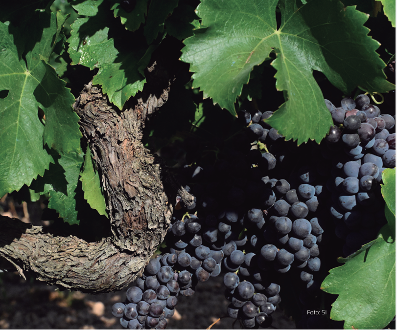 Pagès Editors tweet media