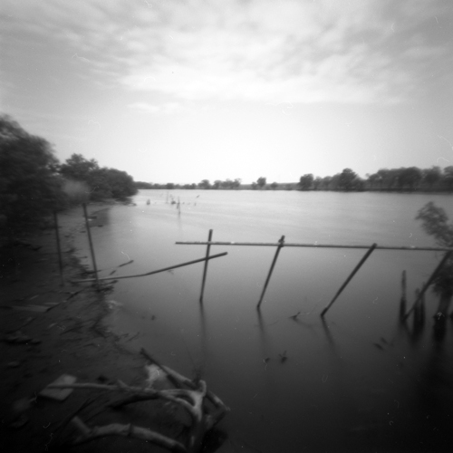 しきはん 🎞 tweet media