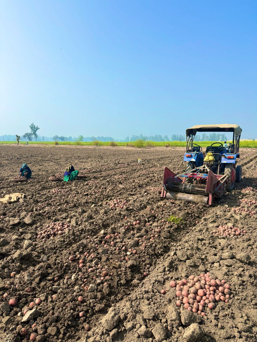 Rattan Dhillon tweet media