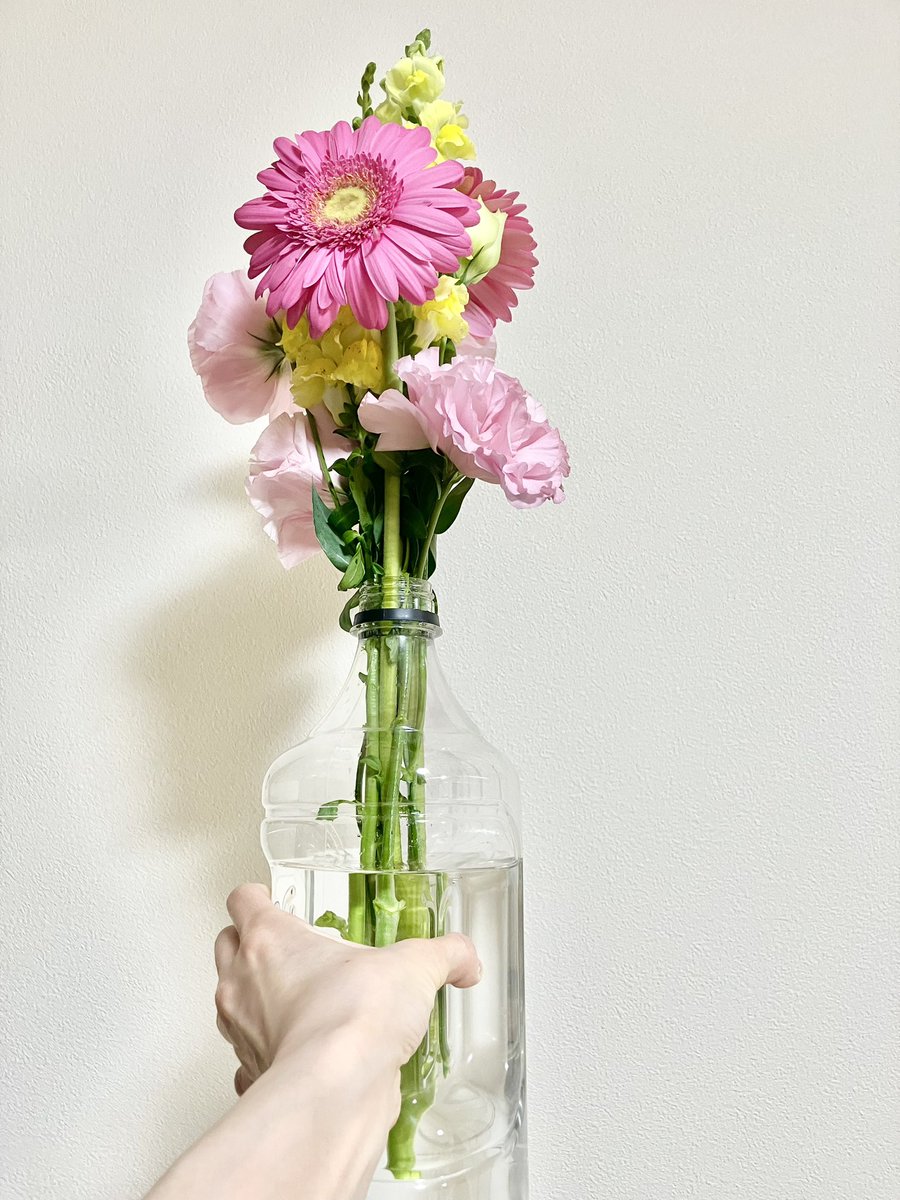 hato9hato9's tweet photo. 立派なお花を分けていただいたが花瓶がなくトリスの1.8Ｌペットボトルにブッ刺す丁寧な暮らし！！！！！ https://t.co/nCDCMQB3OX