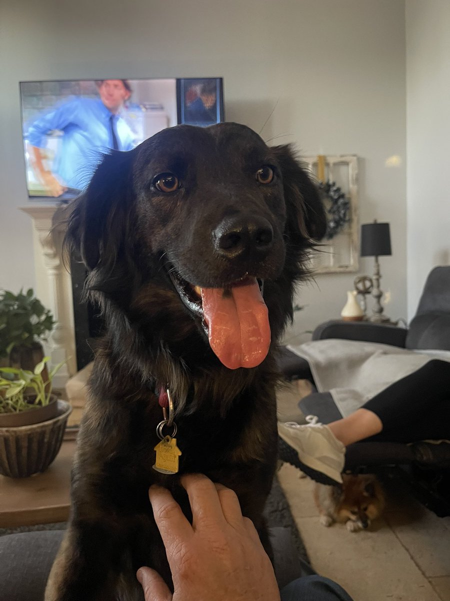 Southern Wisdom tweet media