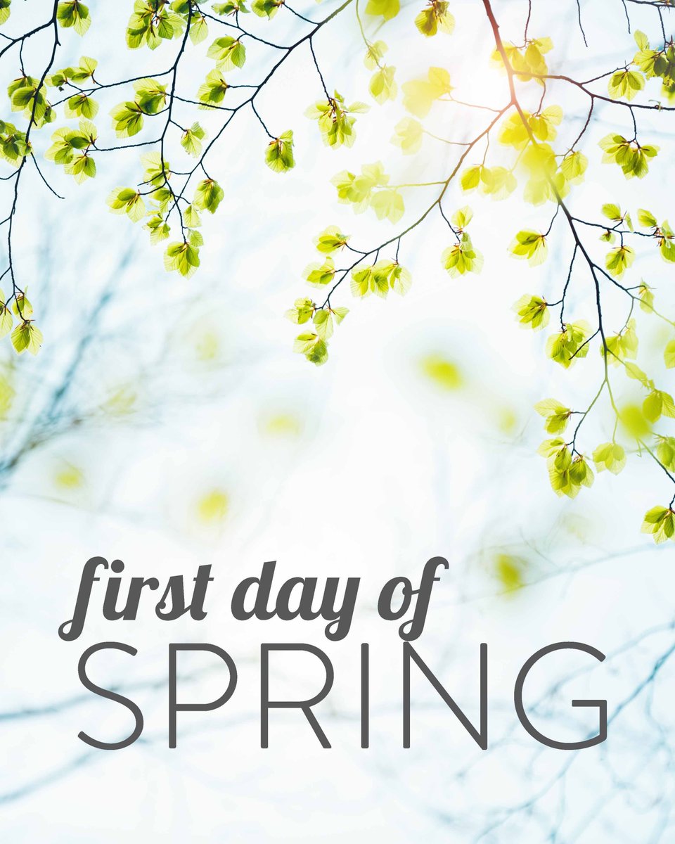 Indiana Connection tweet media