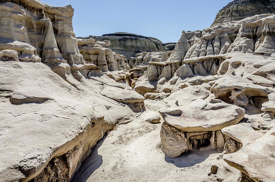 Debra Martz tweet media