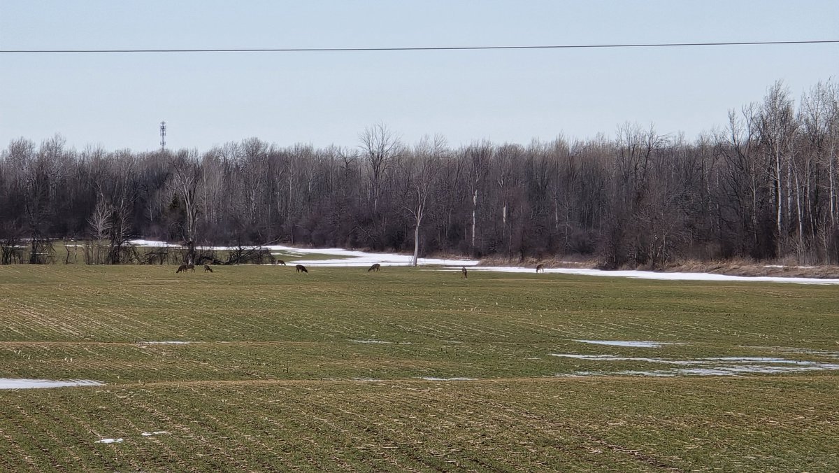 Warren Schneckenburger 🇨🇦 tweet media