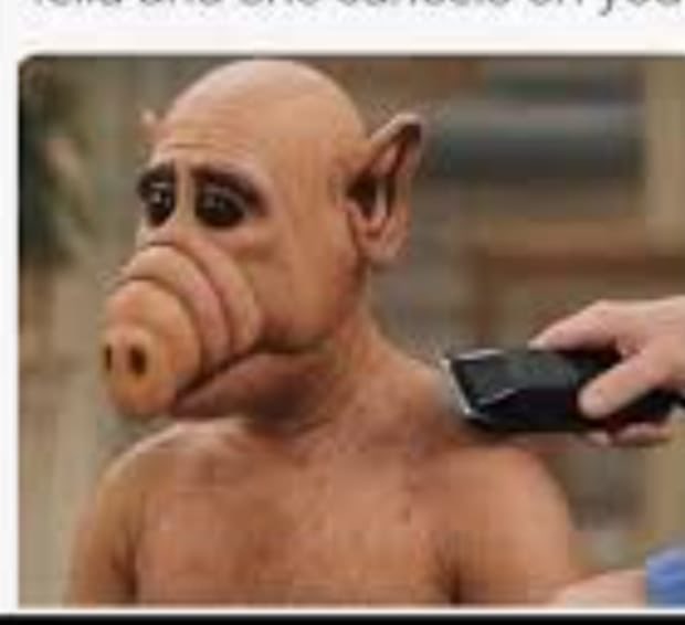 Hubert Stojanowski tweet media