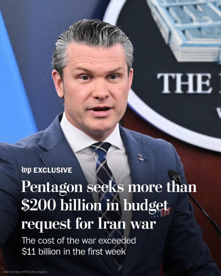 🪶Porã ( Humanista) 🏹🌳 🐆 tweet media