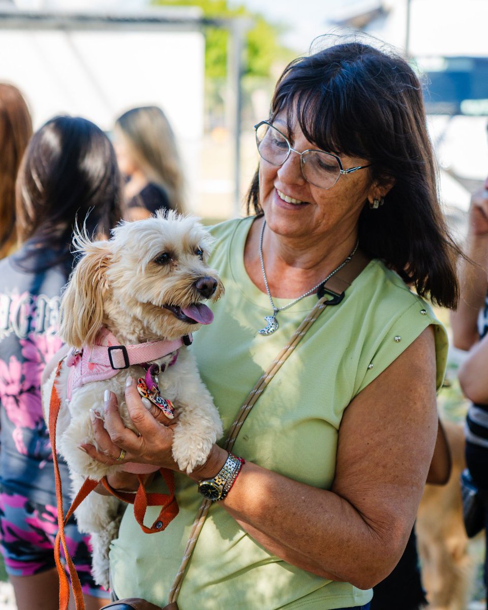 Municipalidad de Tres de Febrero tweet media