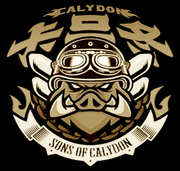 โญลโฆโฒ โฉโฑคษโตโญ ลโฎ tweet media