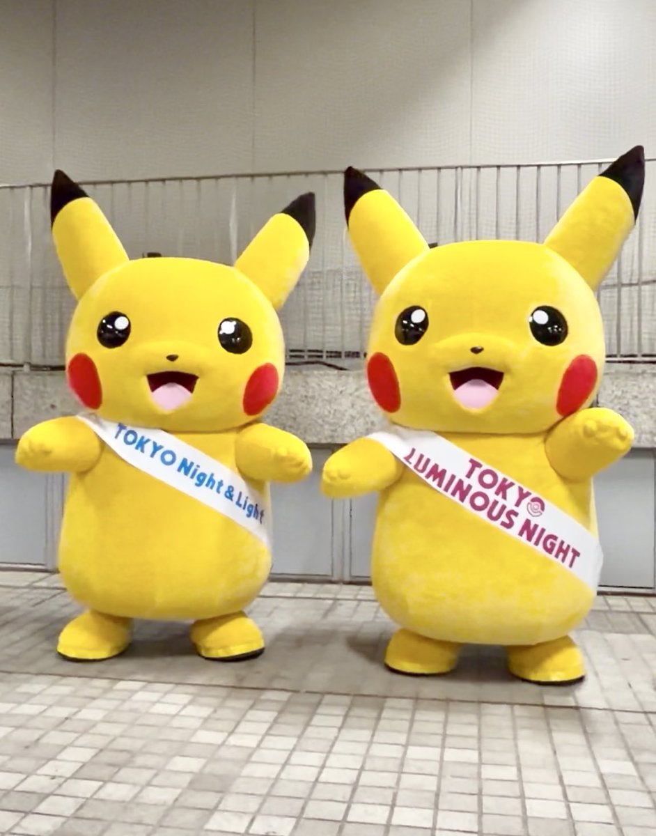 ピカチュウ達も来てくれたよ💛˚⋆⚡︎ しっぽーーー！ペアピカチュウだ