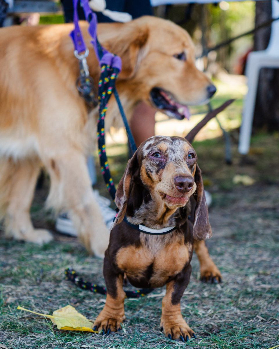 Municipalidad de Tres de Febrero tweet media
