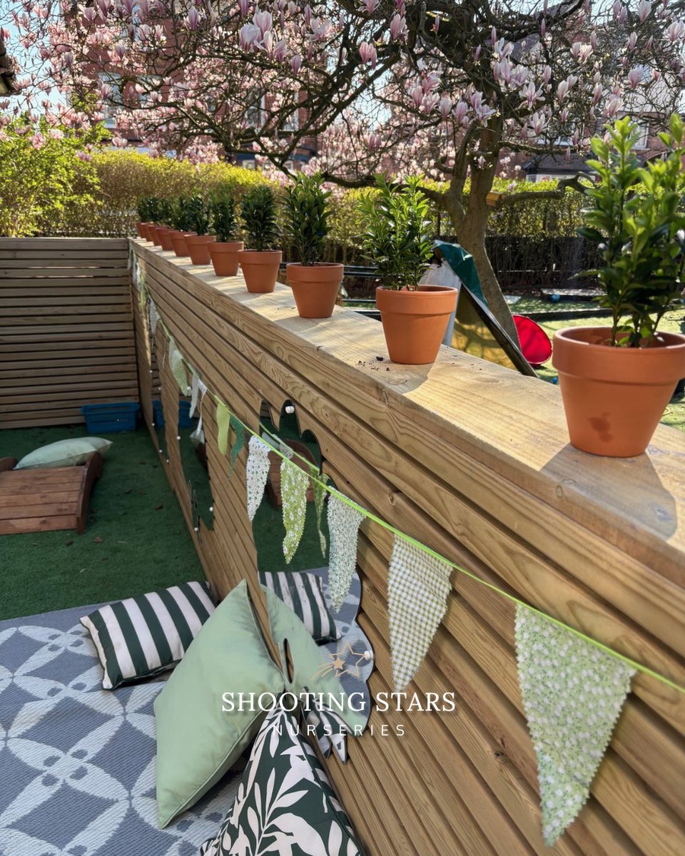 Shooting Stars tweet media