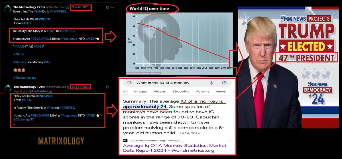 The Matrixology +21.1k tweet media