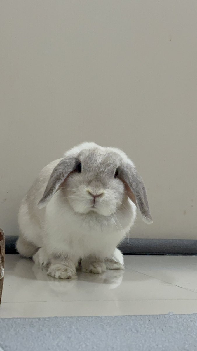 ลูกชั้นน่ารักที่สุด