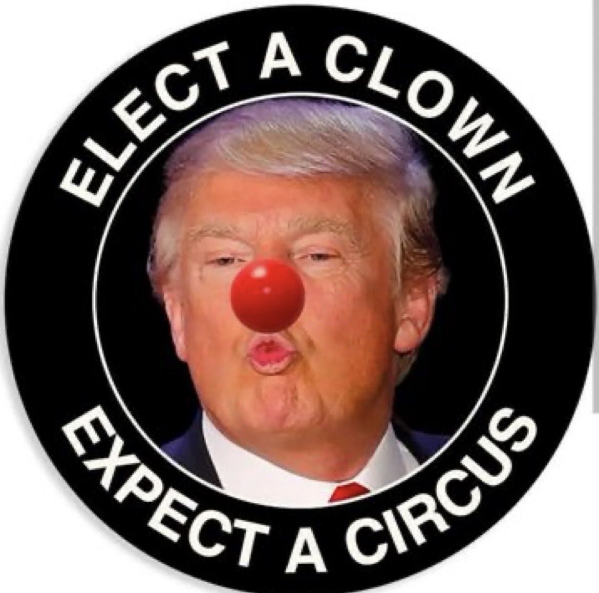 Freedom Lover tweet media